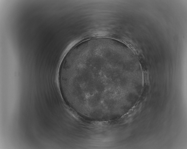 X0000110760147200906221129
