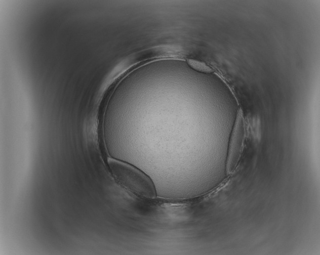 X0000110760150200906221129