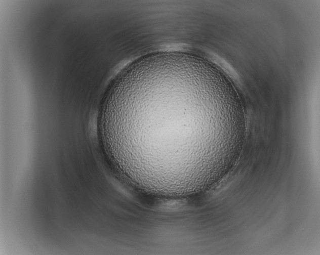 X0000110760155200906221129