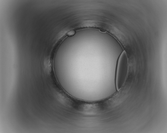 X0000110760160200906221129