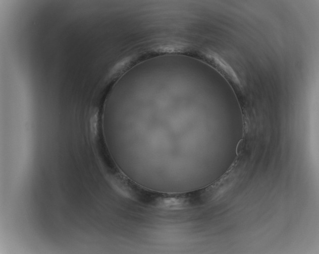 X0000110760163200906221129