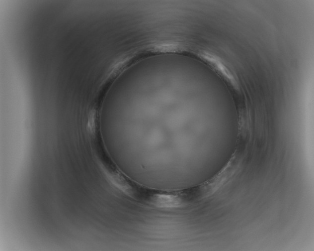 X0000110760167200906221129