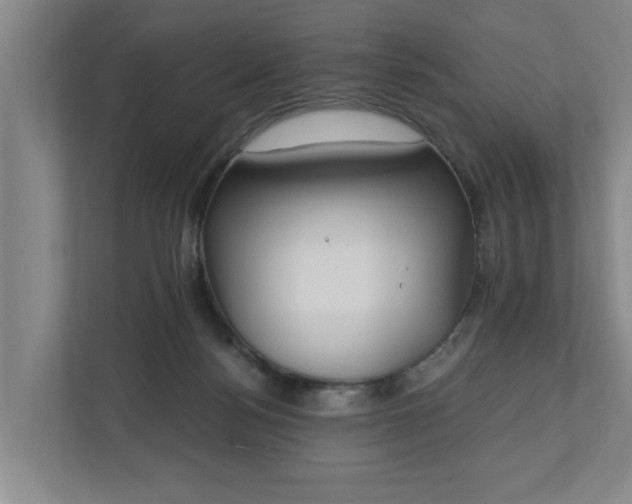 X0000110760172200906221129
