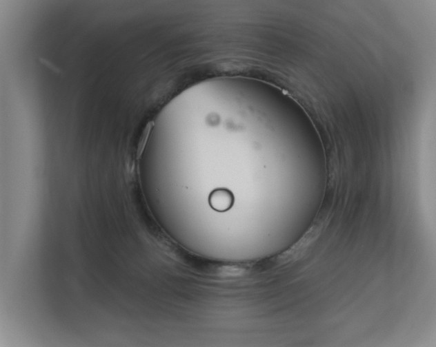 X0000110760176200906221129