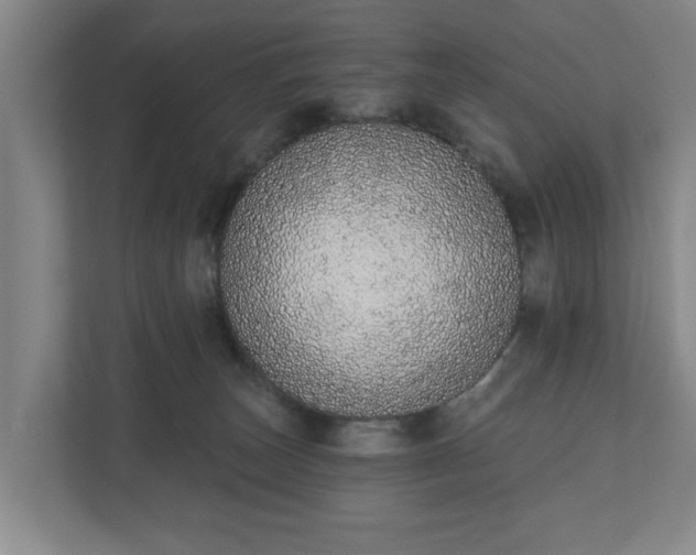 X0000110760179200906221129