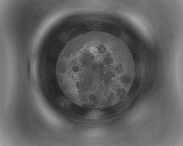 X0000110760189200906221129