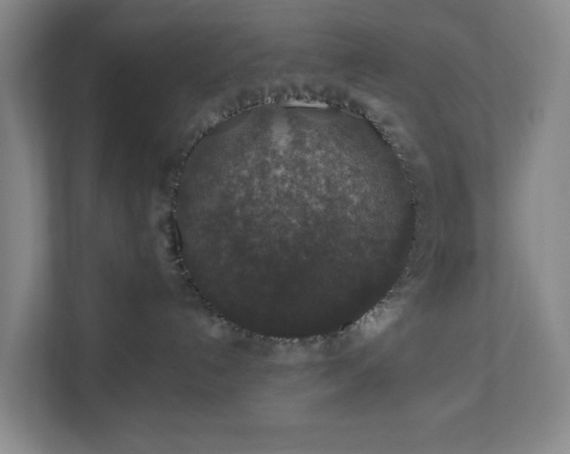 X0000110760192200906221129