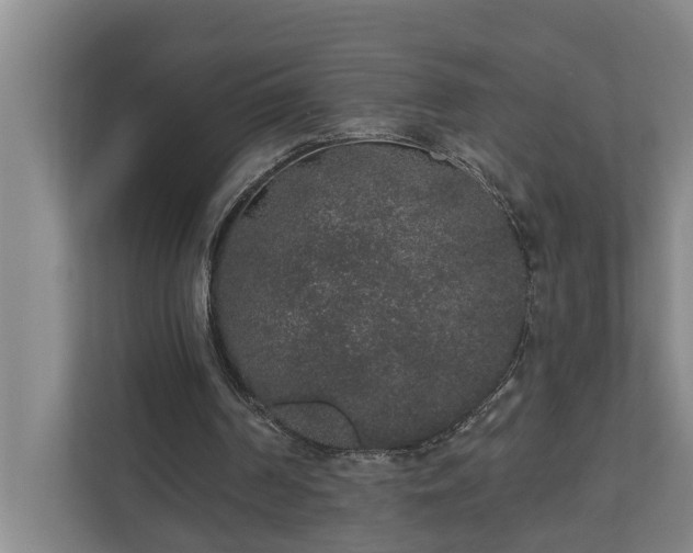 X0000110760194200906221129