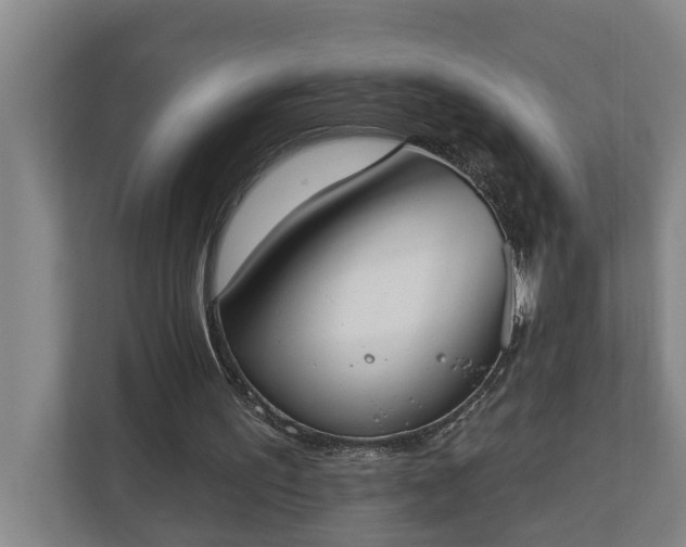 X0000110760195200906221129