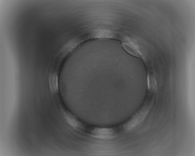 X0000110760205200906221129