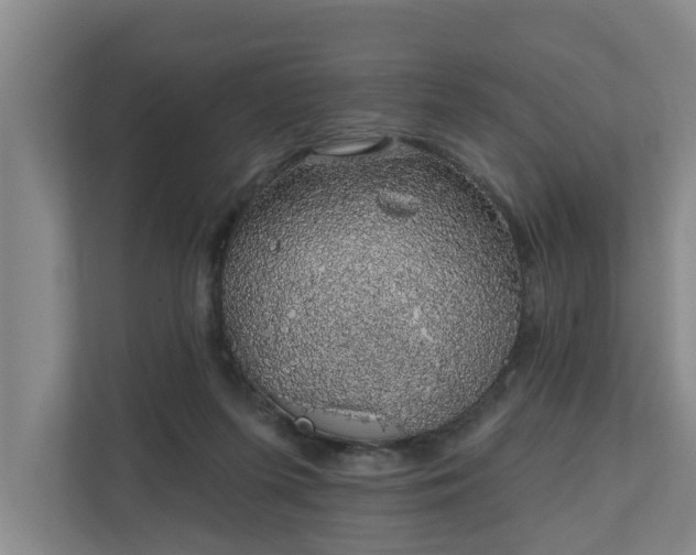 X0000110760215200906221128
