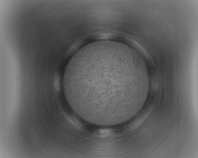 X0000110760216200906221128