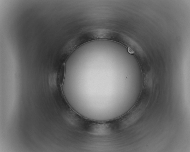 X0000110760217200906221128