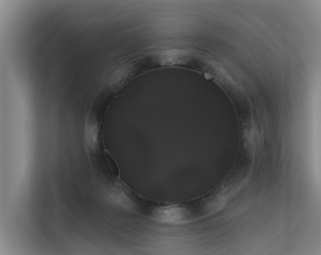 X0000110760219200906221128