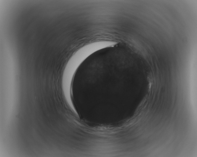 X0000110760223200906221128