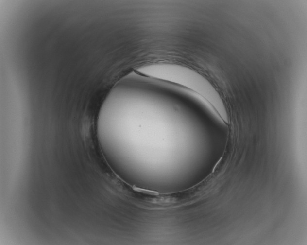 X0000110760225200906221128