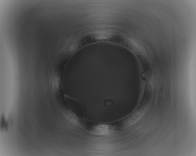 X0000110760227200906221128