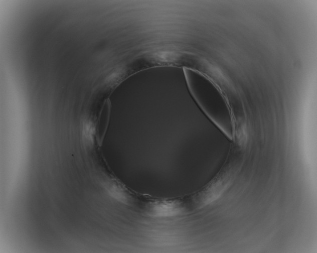 X0000110760235200906221128