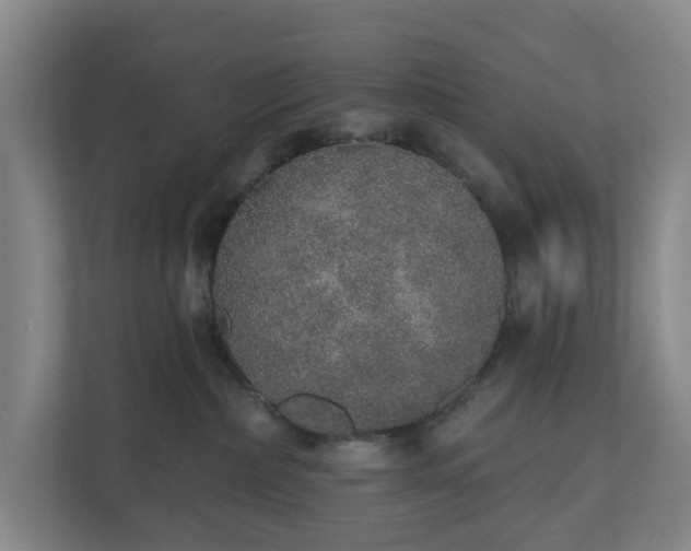 X0000110760236200906221128