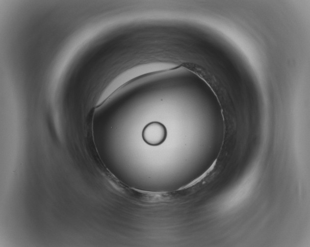 X0000110760239200906221128