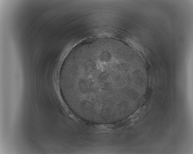 X0000110760241200906221128