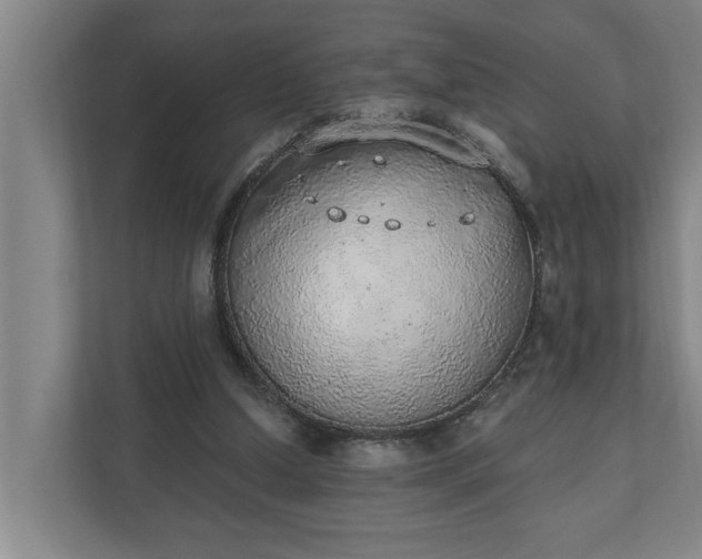 X0000110760250200906221128