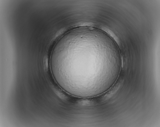 X0000110760253200906221128