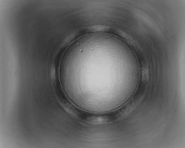 X0000110760254200906221128
