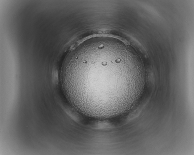 X0000110760262200906221128