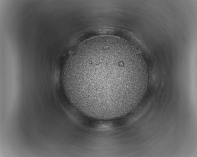 X0000110760263200906221128