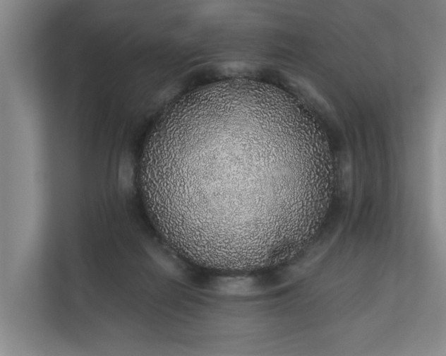 X0000110760266200906221128