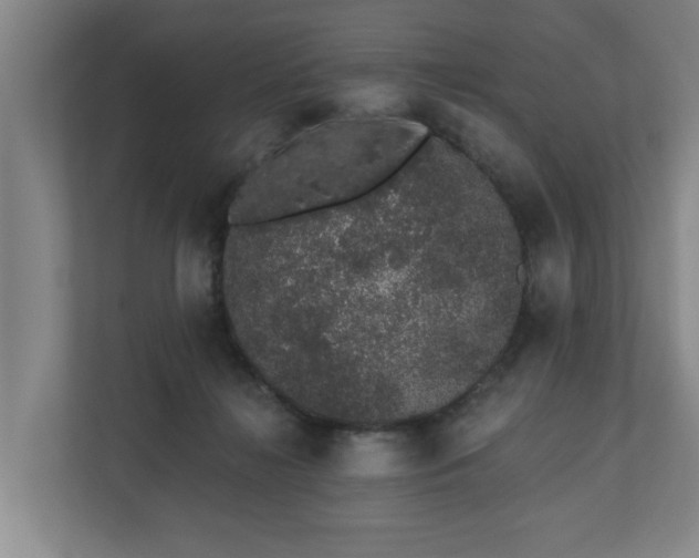 X0000110760268200906221128