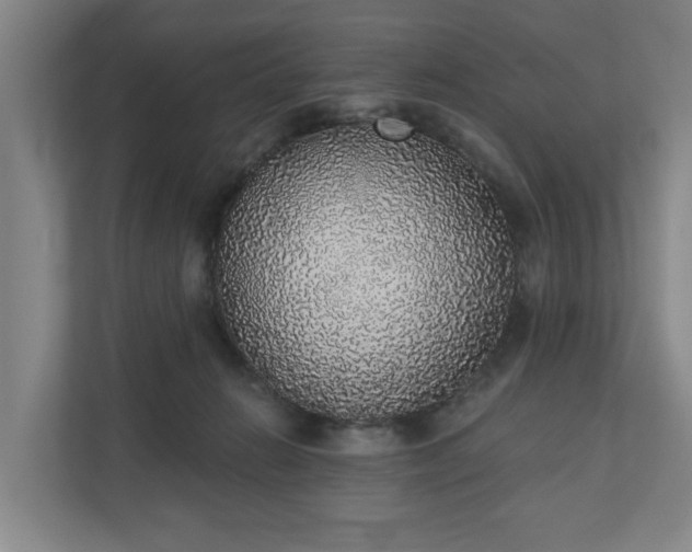 X0000110760270200906221128