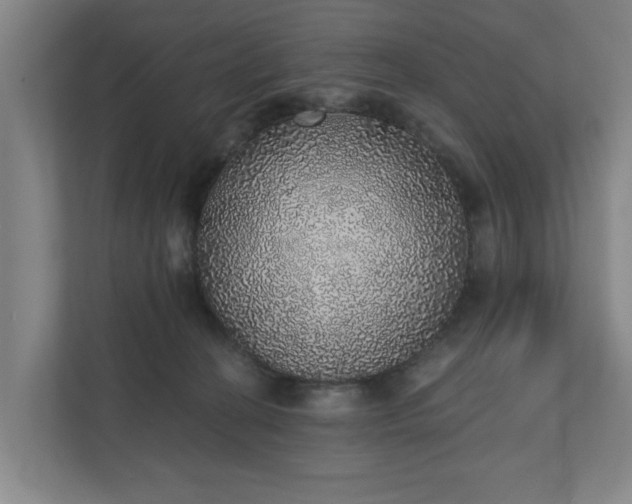 X0000110760274200906221128