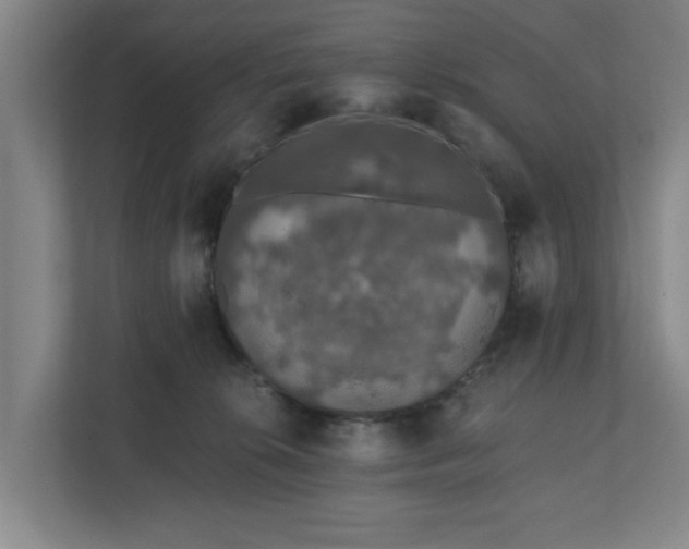 X0000110760276200906221128