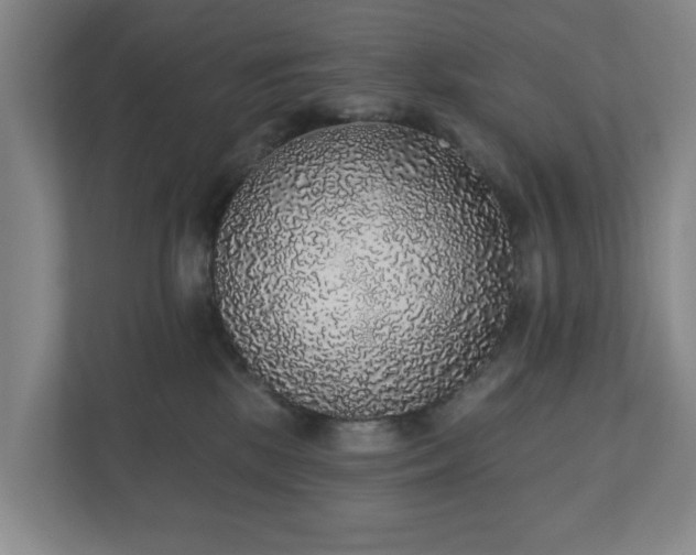 X0000110760281200906221128