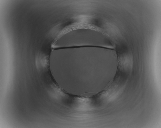X0000110760284200906221128