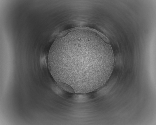 X0000110760286200906221128