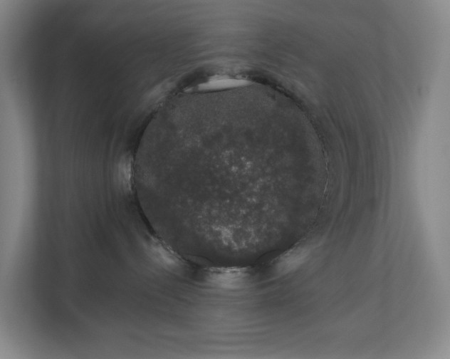 X0000110760288200906221128