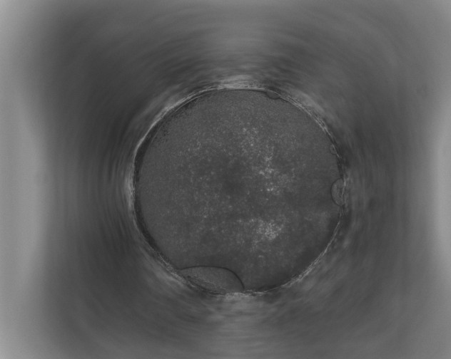 X0000110760290200906221128