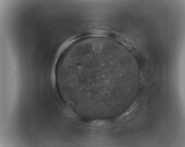 X0000110760294200906221127
