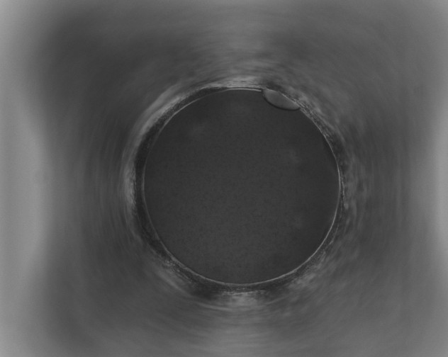 X0000110760295200906221127