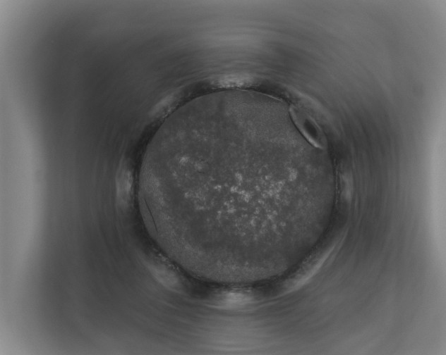 X0000110760308200906221127
