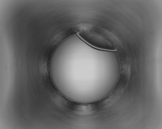 X0000110760317200906221127