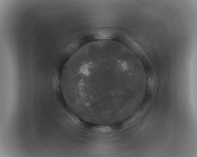 X0000110760322200906221127
