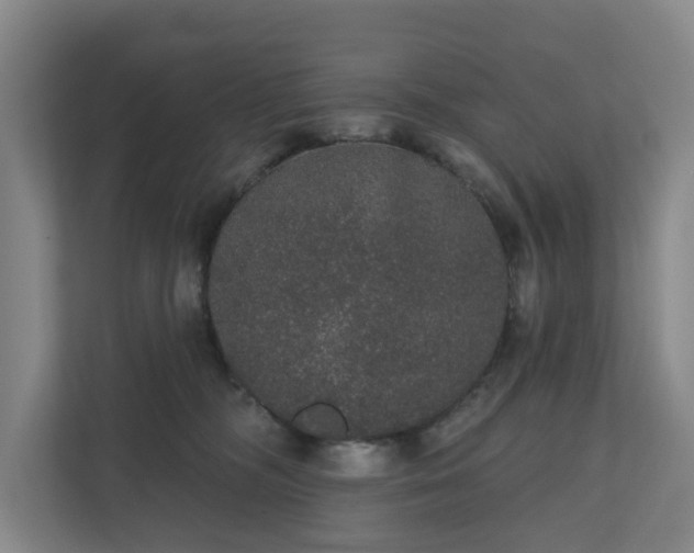 X0000110760326200906221127