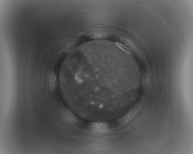 X0000110760327200906221127