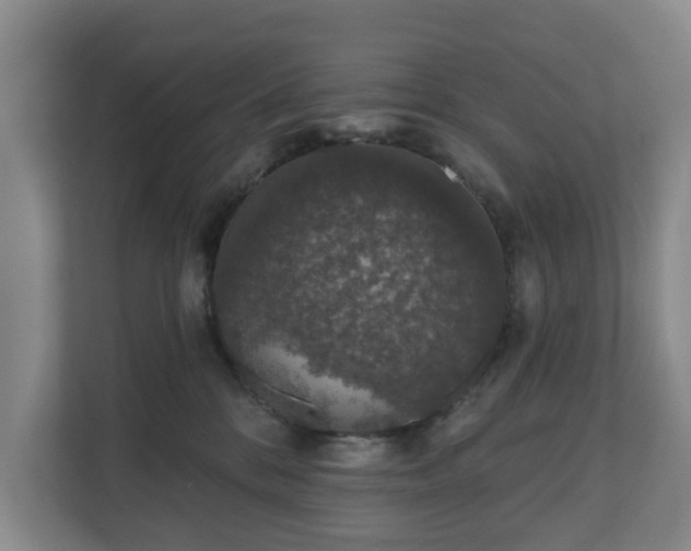 X0000110760328200906221127