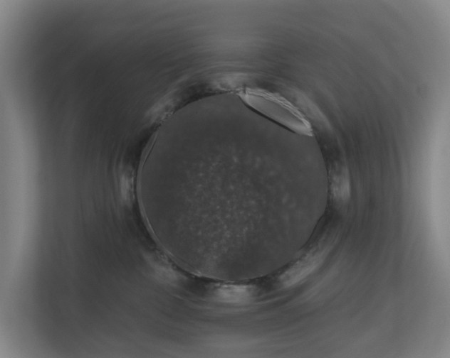 X0000110760332200906221127