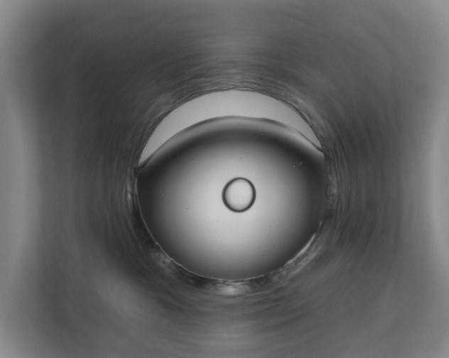 X0000110760333200906221127
